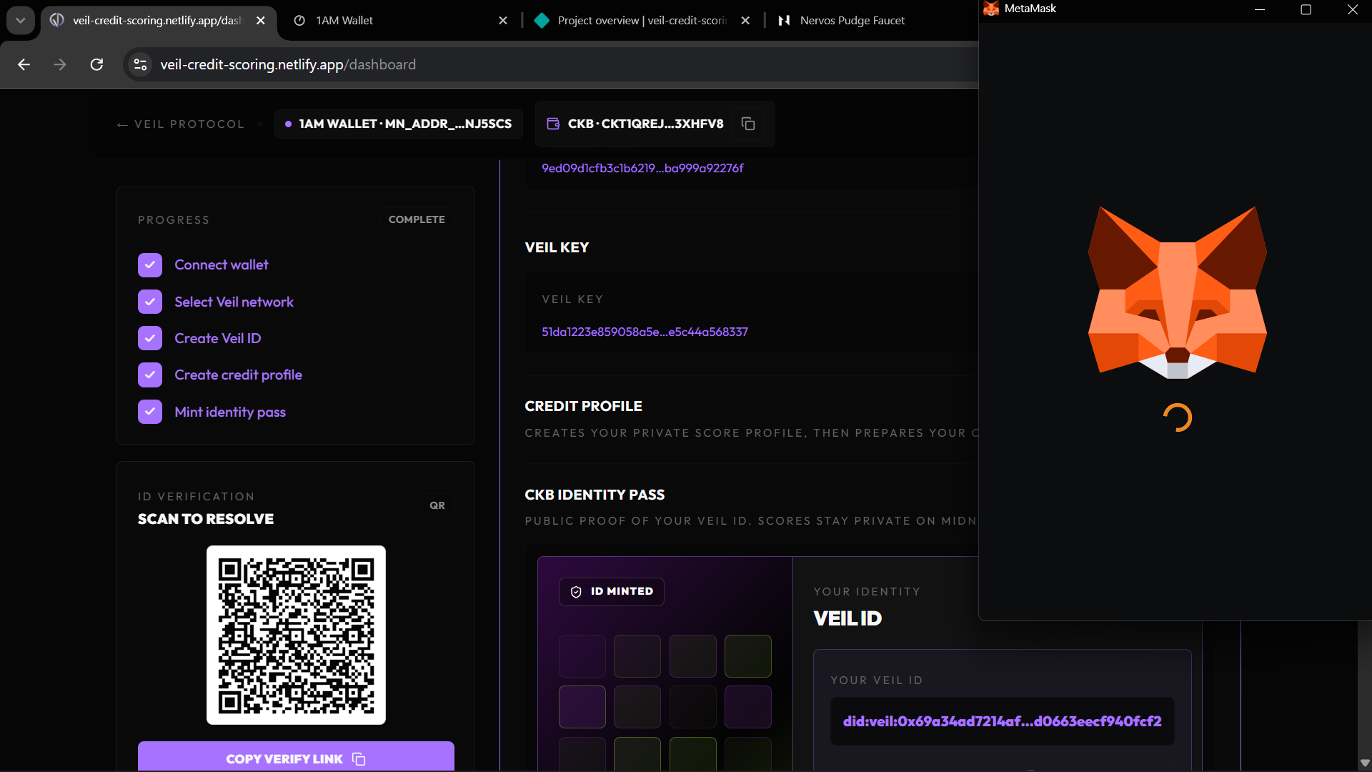 Dashboard complete state showing QR code and ID Minted card with Veil ID
